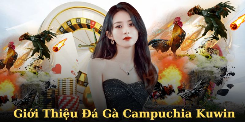 Hình thức đá gà Campuchia Kuwin hấp dẫn, gay cấn