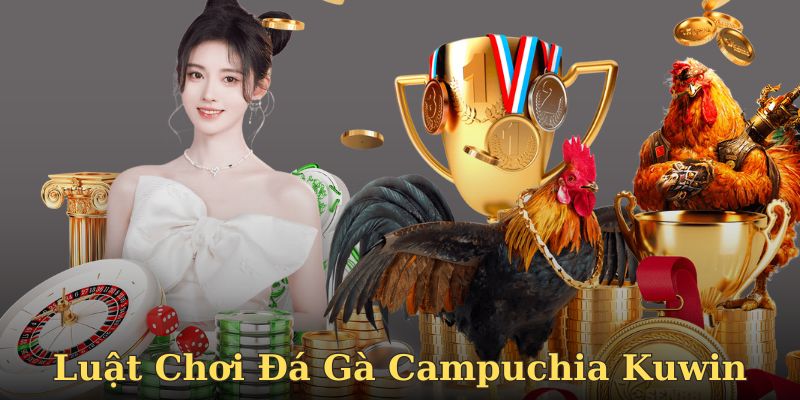 Luật chơi đá gà Campuchia cụ thể cho newbie chưa biết