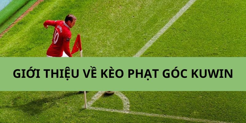 Thông tin chi tiết giới thiệu về kèo cược đá phạt góc 