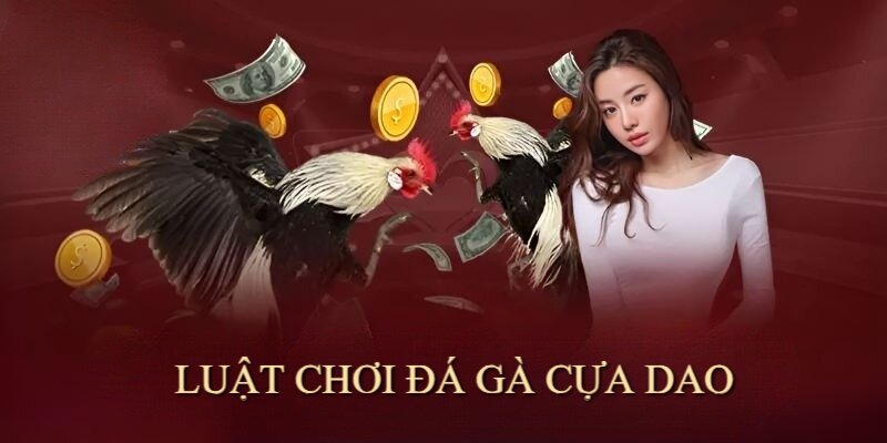 Nắm được luật chơi giúp hội viên đặt cược chọi gà cựa dao hiệu quả hơn